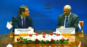 OMC: uma organização cada vez mais global